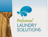 Professional Laundry Solutions 1058062 Image 0